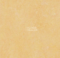 Линолеум Forbo Marmoleum Decibel on Order 384635 natural corn фото 1 | FLOORDEALER